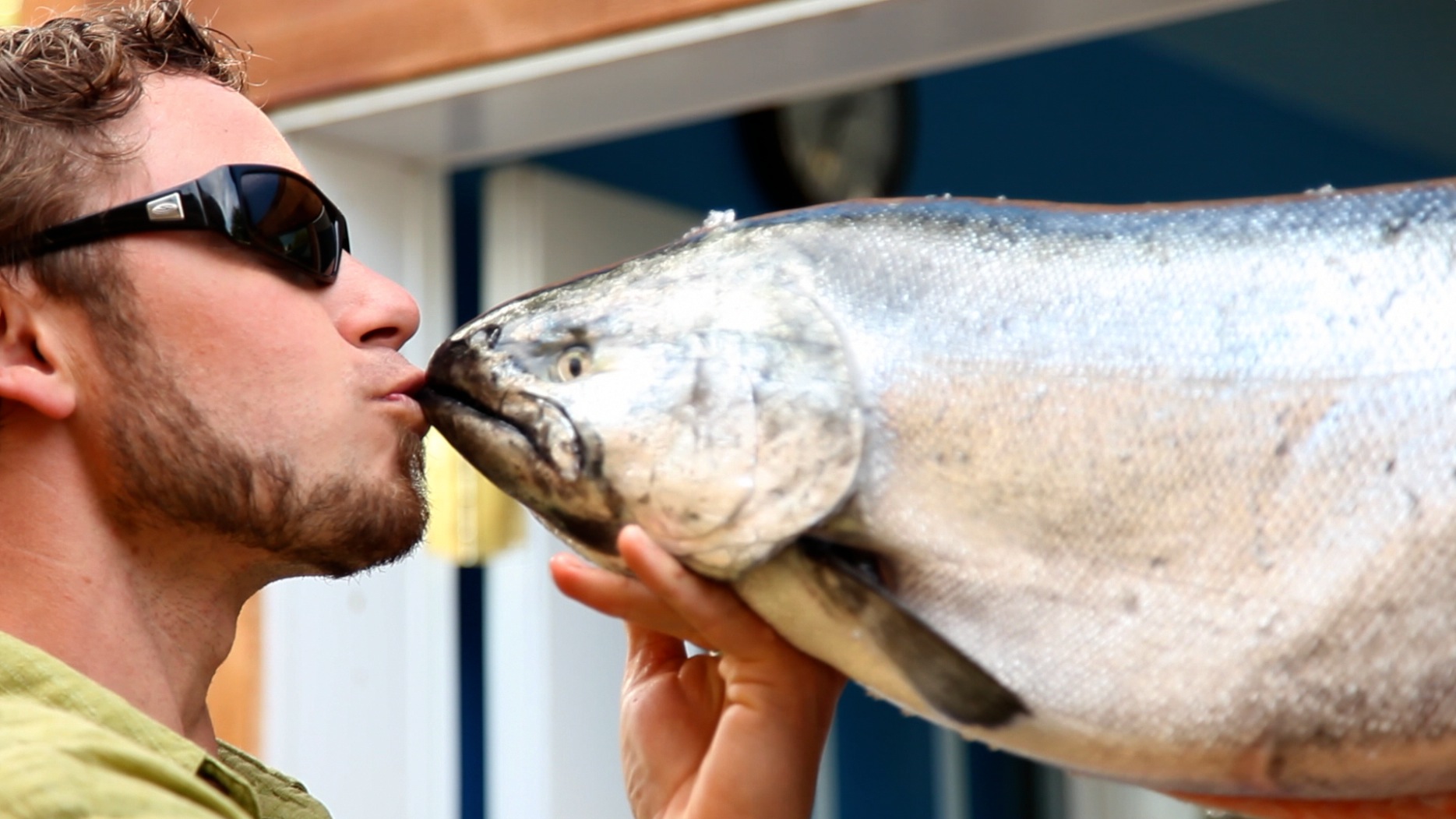 lyf kissing salmon