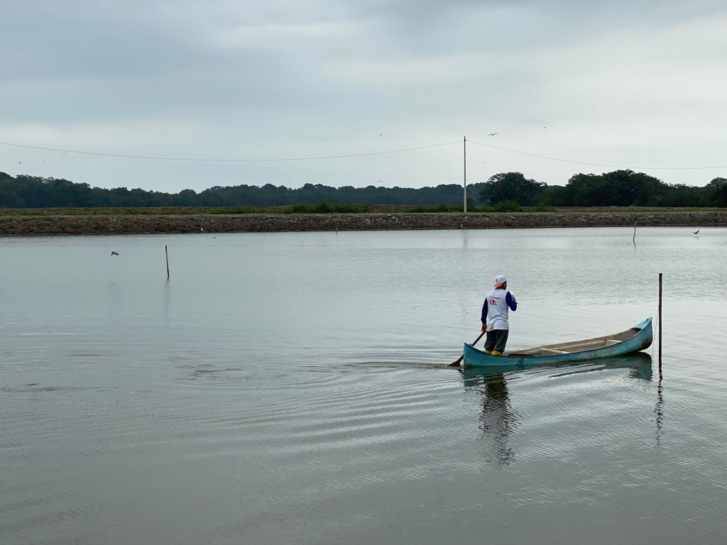A person paddling a small blue boat in calm waters, with a cloudy sky and green landscape in the background.